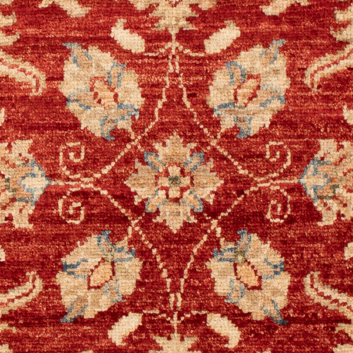 Ziegler Carpet - 86 x 60 cm - röd