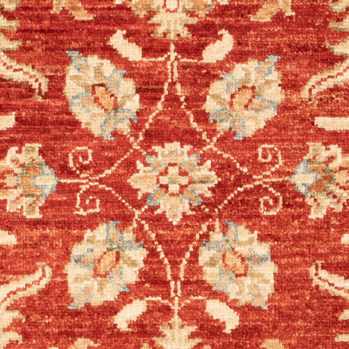 Ziegler Carpet - 90 x 63 cm - röd