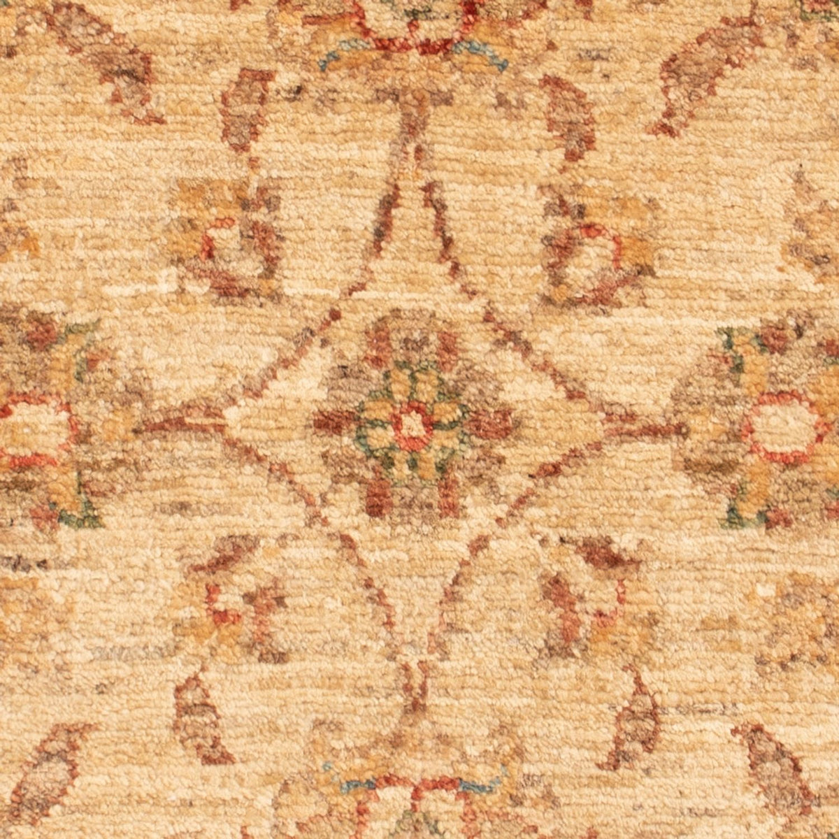 Ziegler Carpet - 70 x 50 cm - beige