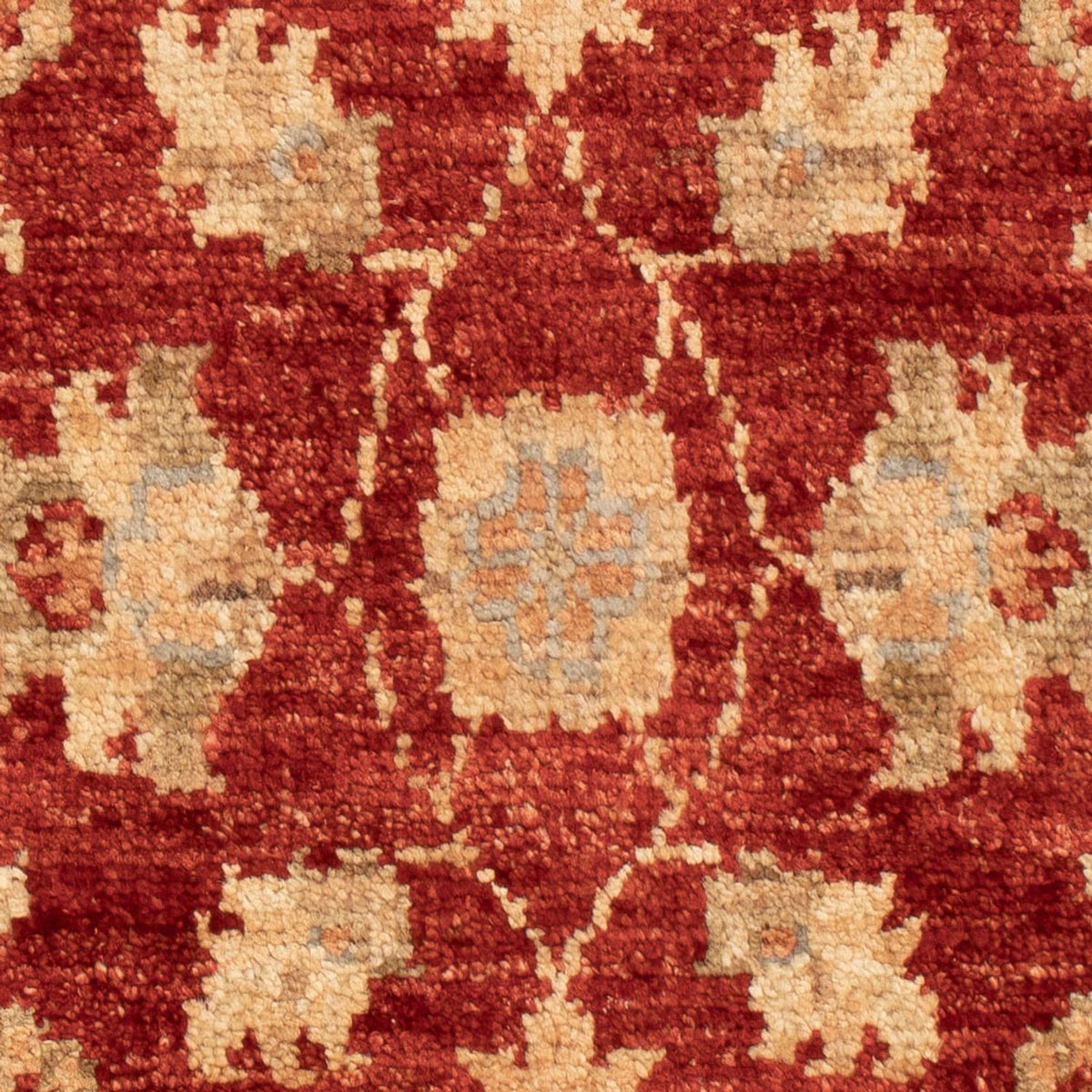 Ziegler Carpet - 67 x 47 cm - röd