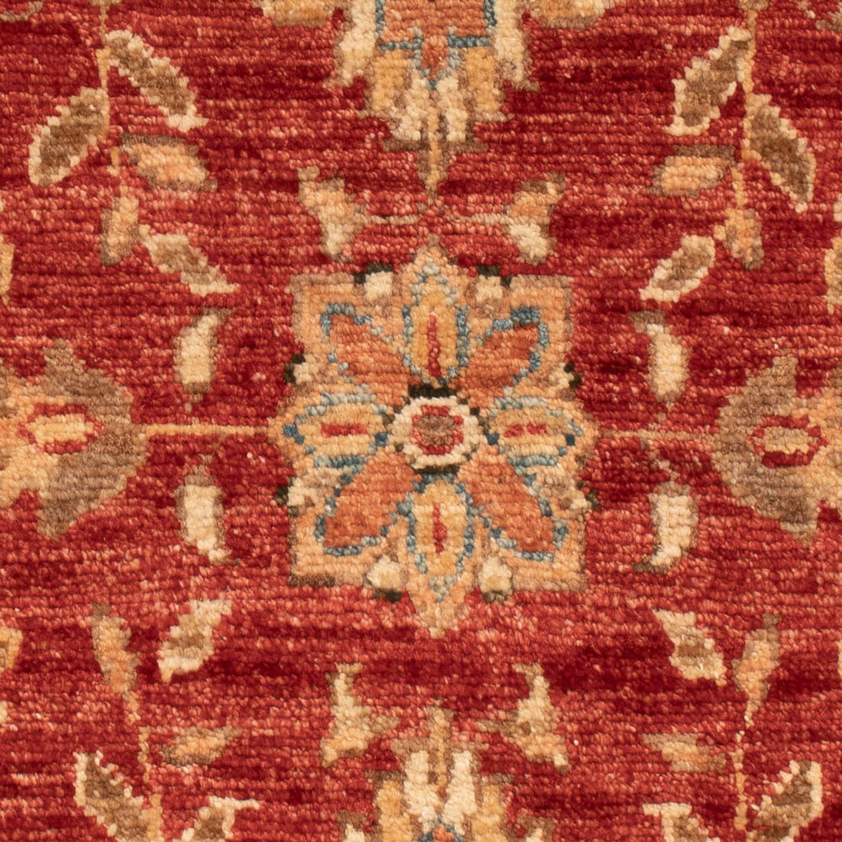Ziegler Carpet - 72 x 52 cm - röd