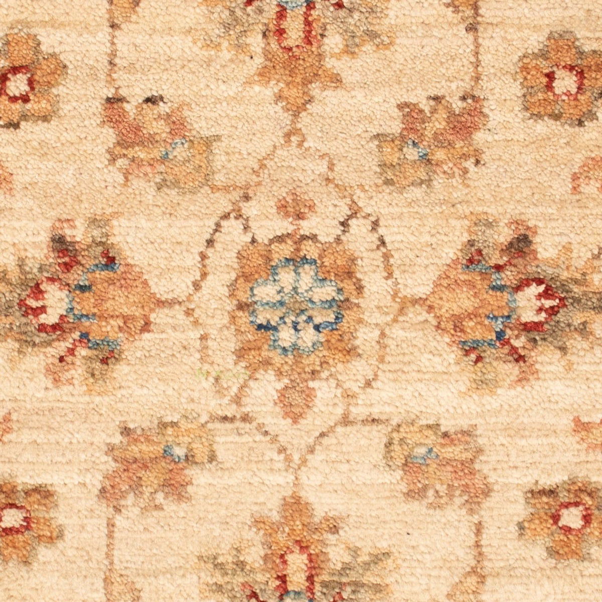Ziegler Carpet - 71 x 52 cm - beige