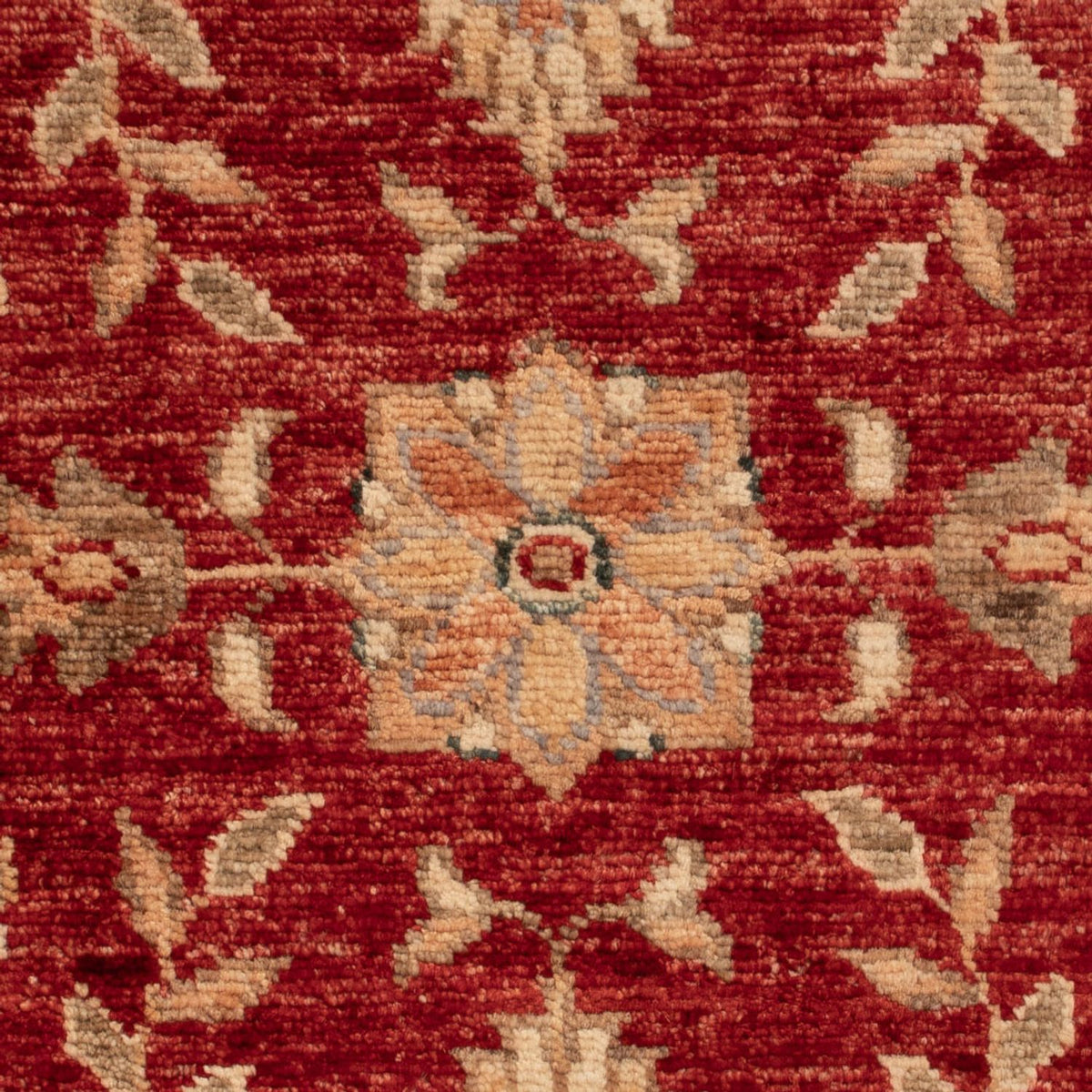 Ziegler Carpet - 66 x 52 cm - röd