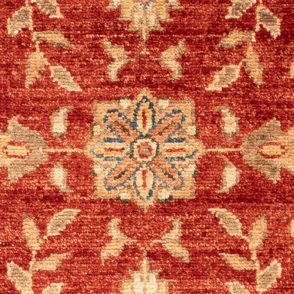 Ziegler Carpet - 68 x 53 cm - röd