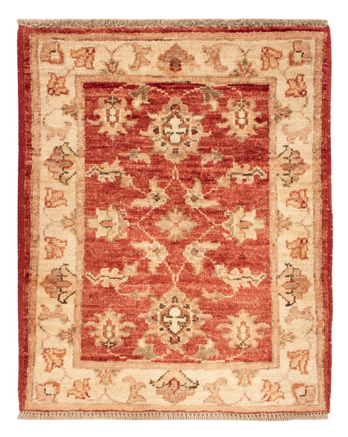 Ziegler Carpet - 64 x 50 cm - rost