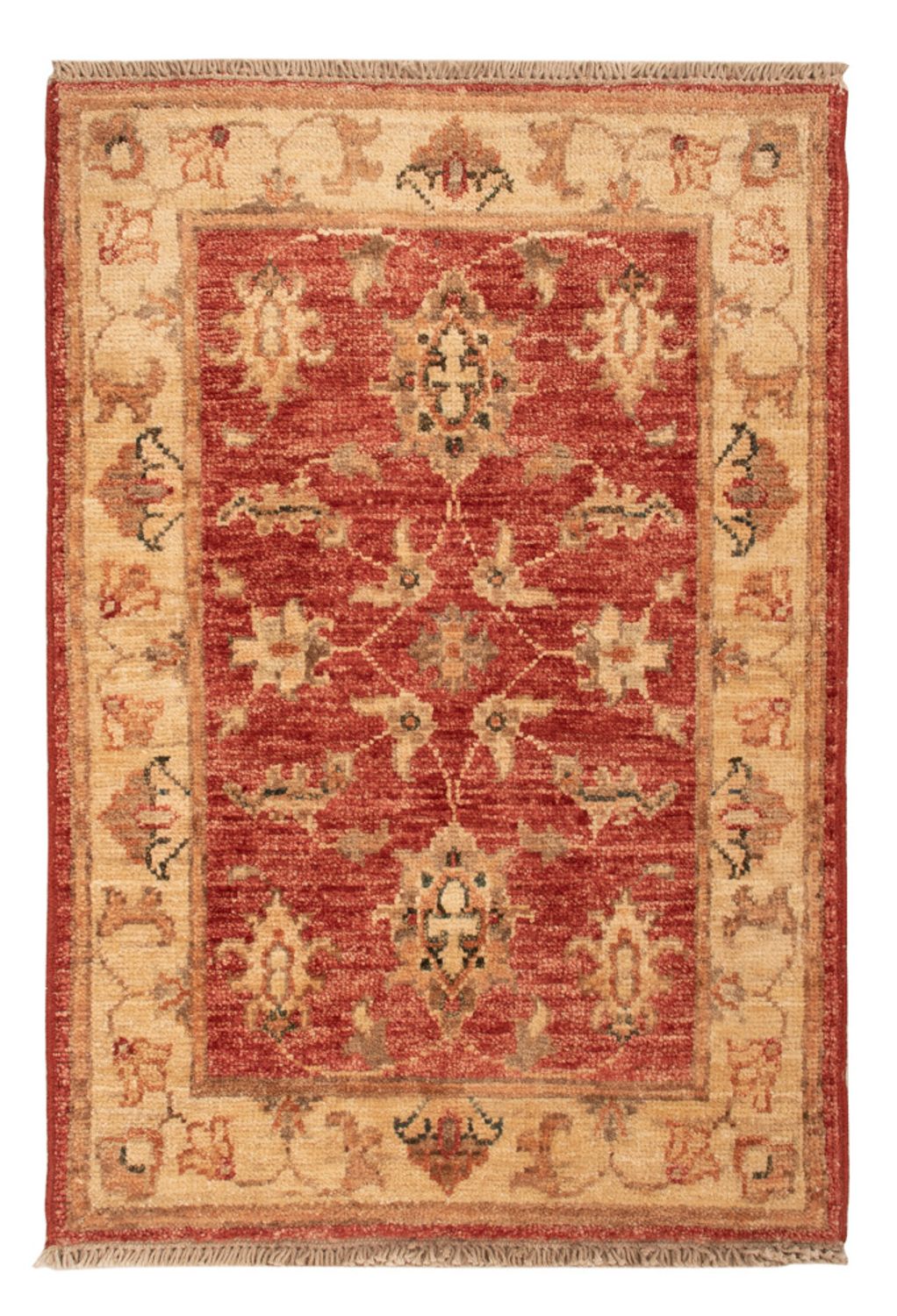 Ziegler Carpet - 74 x 50 cm - röd