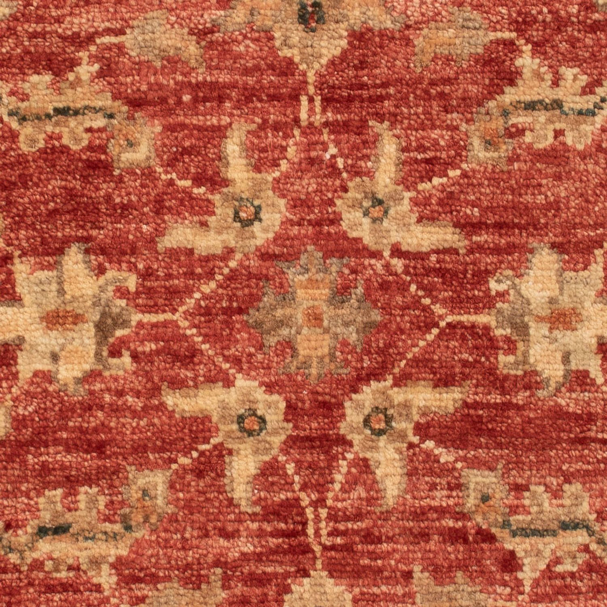 Ziegler Carpet - 74 x 50 cm - röd