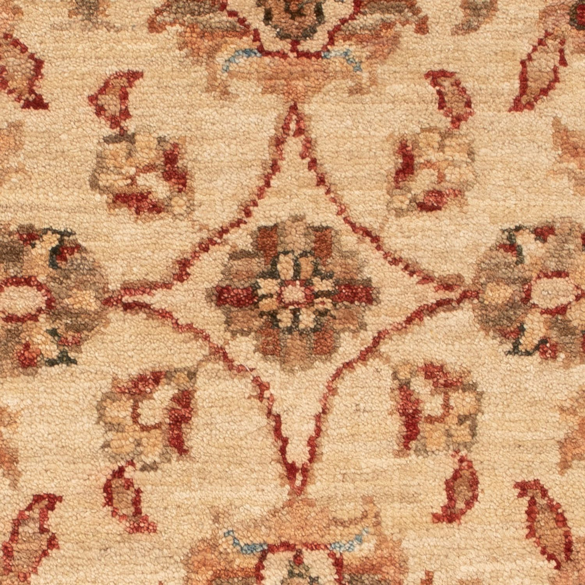 Ziegler Carpet - 72 x 54 cm - beige