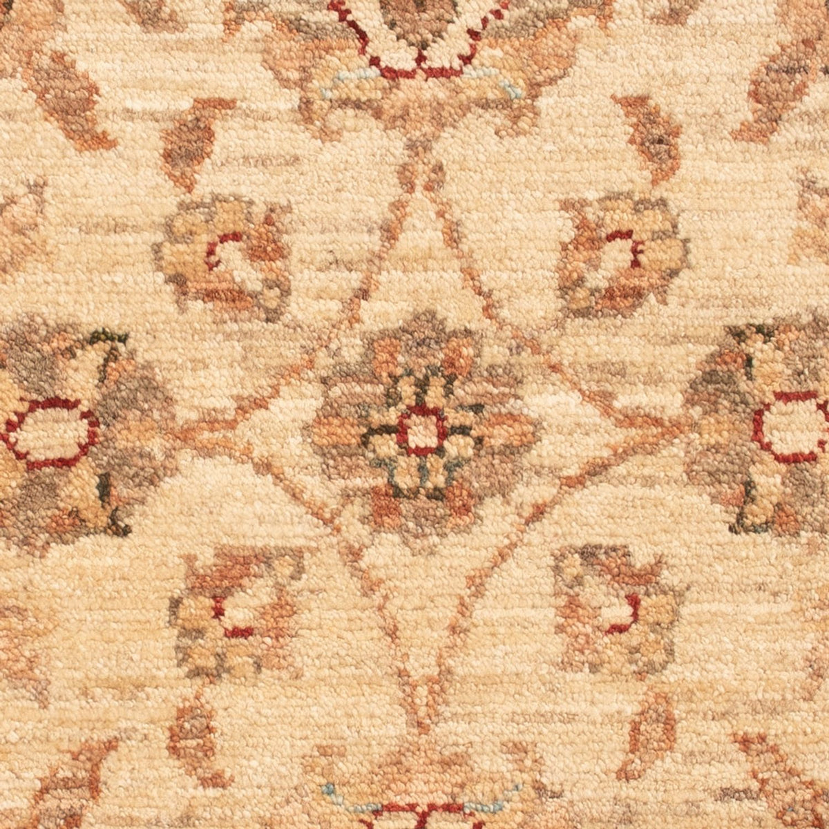 Ziegler Carpet - 72 x 50 cm - beige