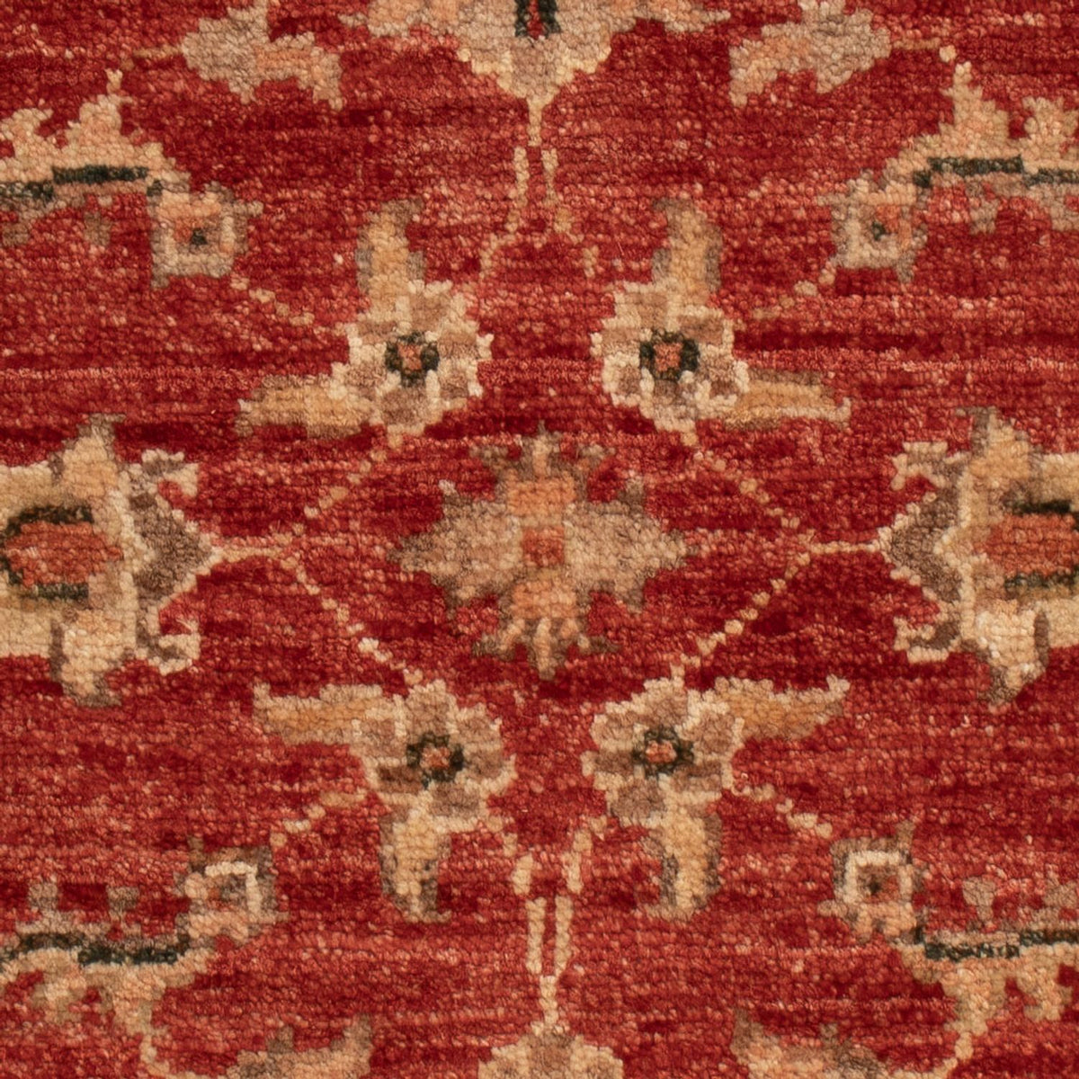 Ziegler Carpet - 63 x 52 cm - röd