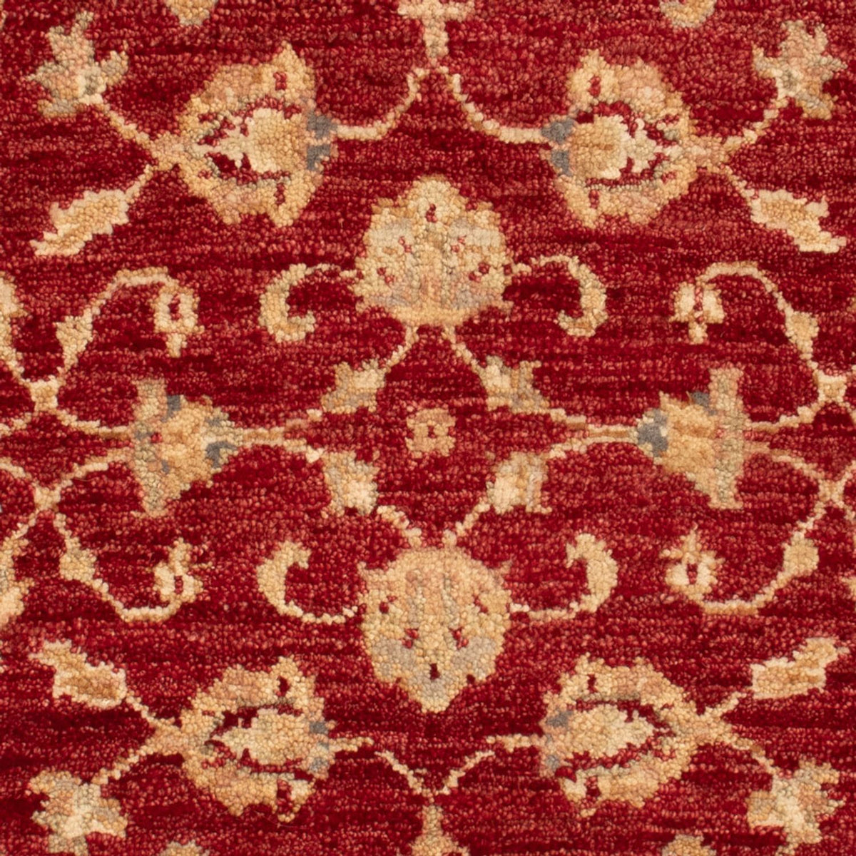 Ziegler Carpet - 90 x 60 cm - bordeaux röd