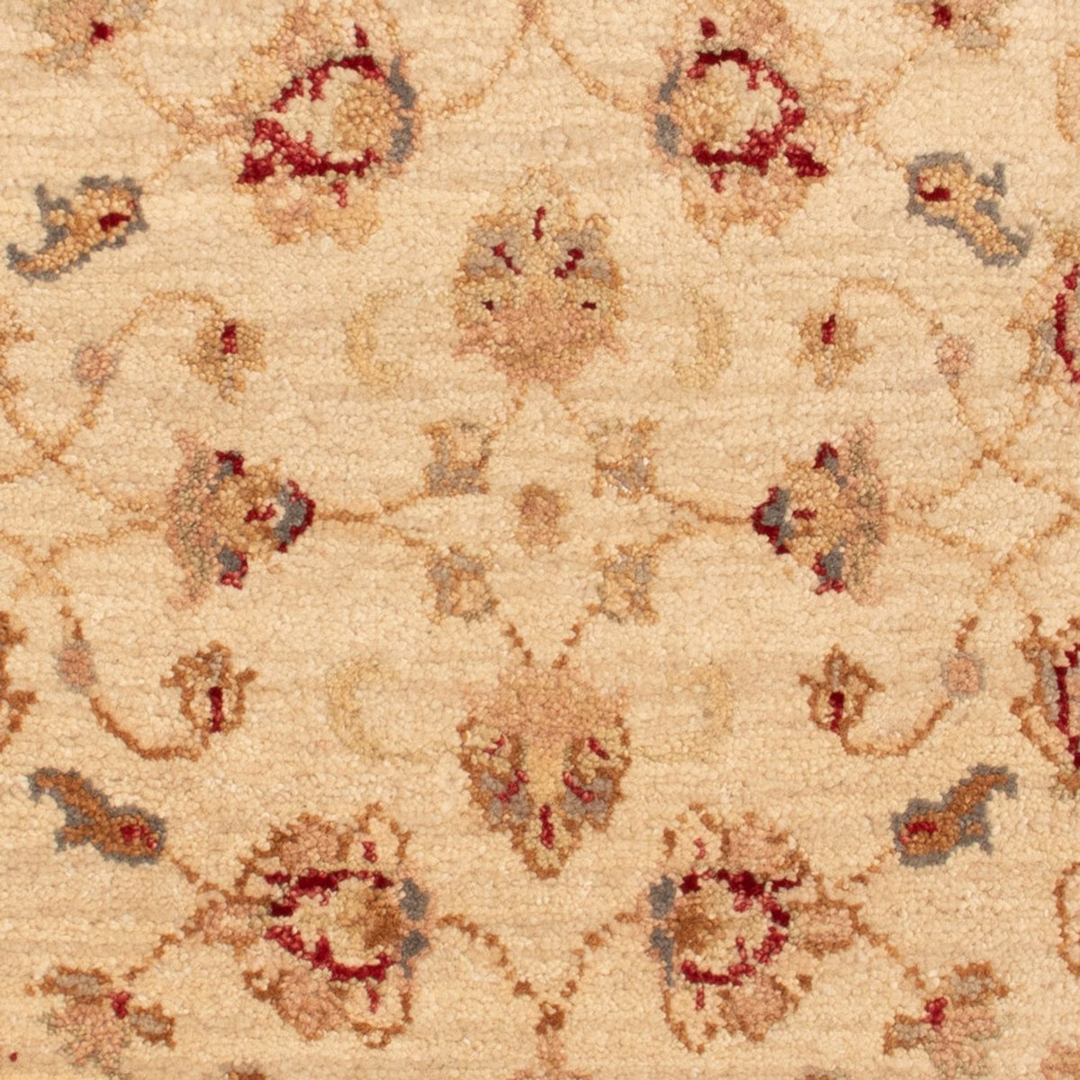 Ziegler Carpet - 90 x 60 cm - beige
