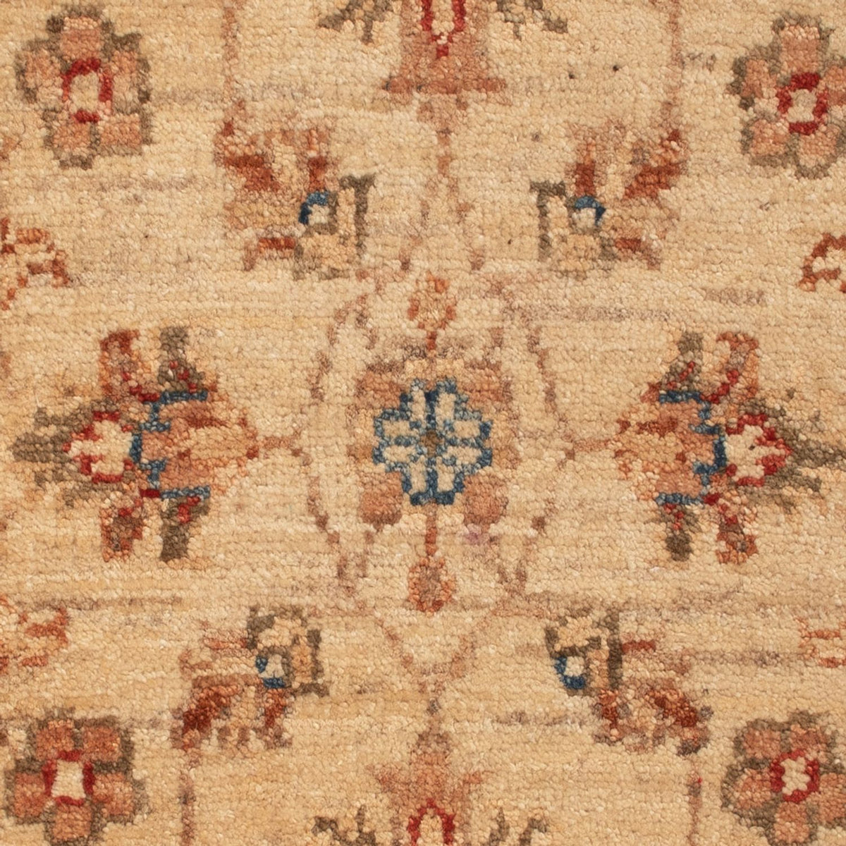 Ziegler Carpet - 68 x 48 cm - beige