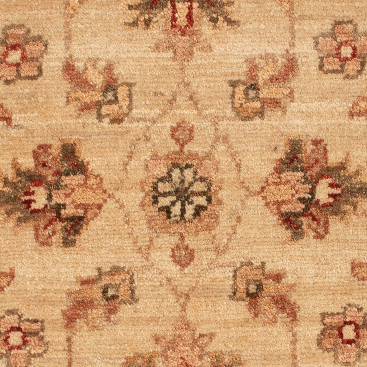Ziegler Carpet - 70 x 50 cm - beige