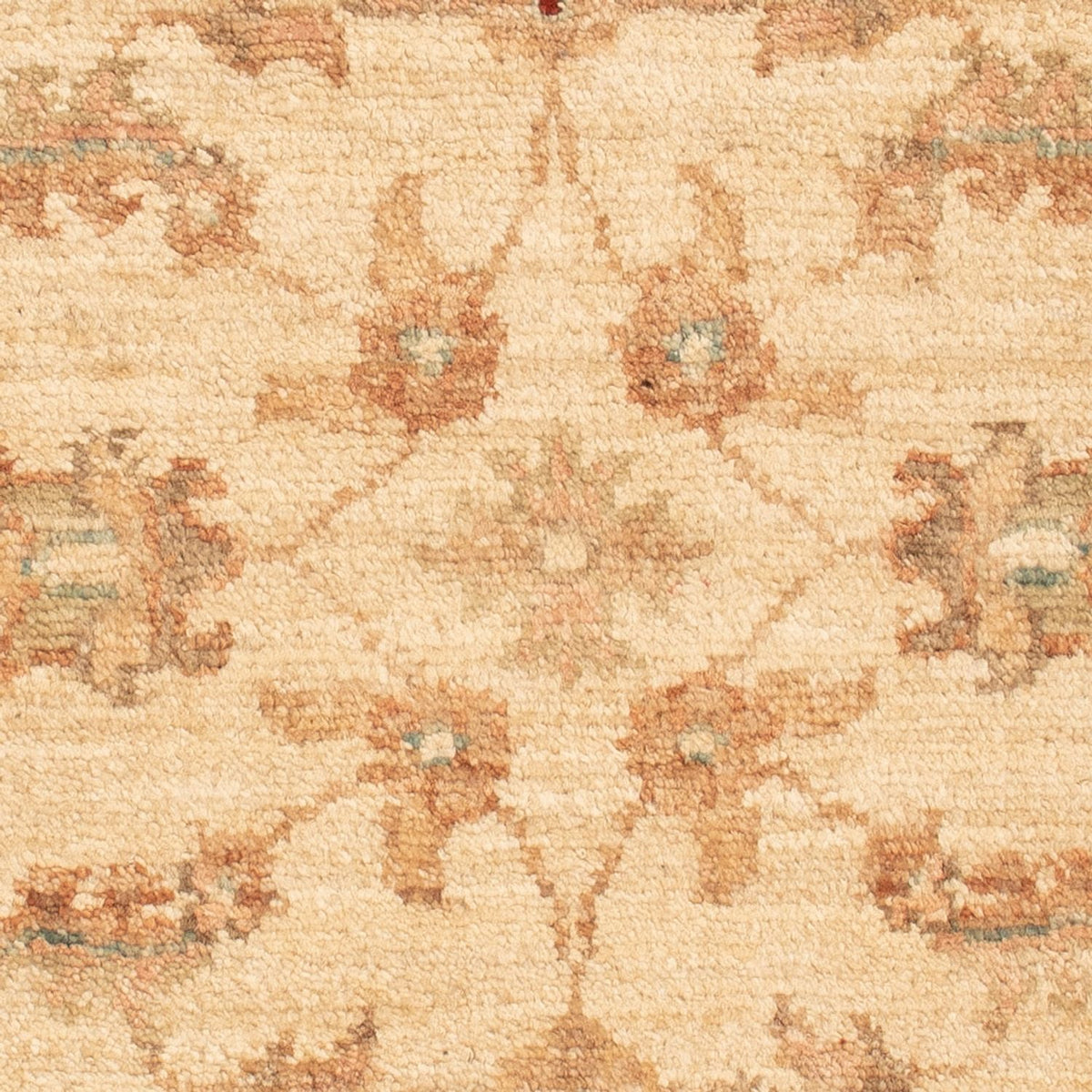 Ziegler Carpet - 70 x 50 cm - beige