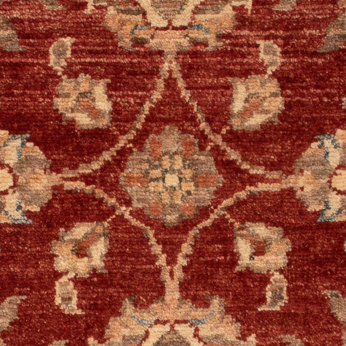 Ziegler Carpet - 63 x 53 cm - röd