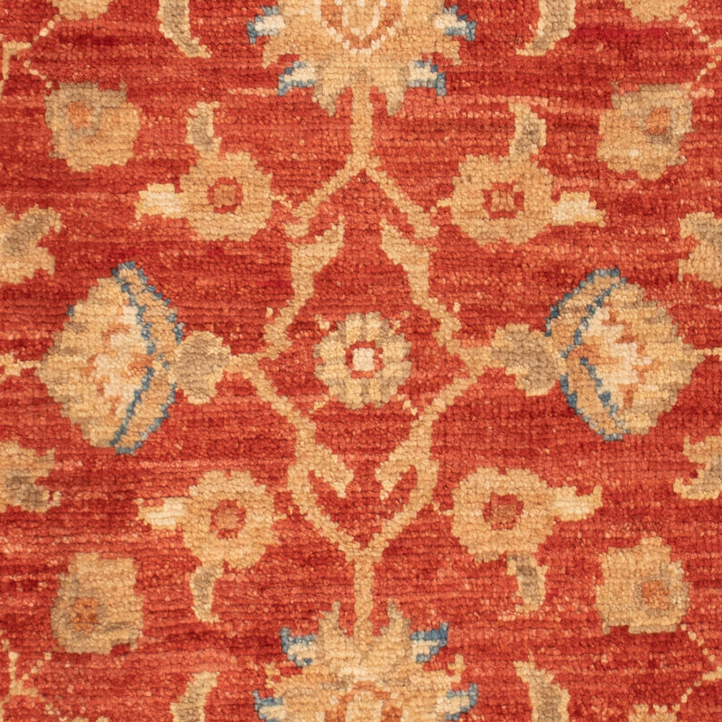 Ziegler Carpet - 91 x 61 cm - röd