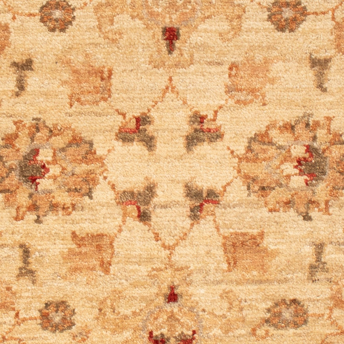 Ziegler Carpet - 90 x 61 cm - beige