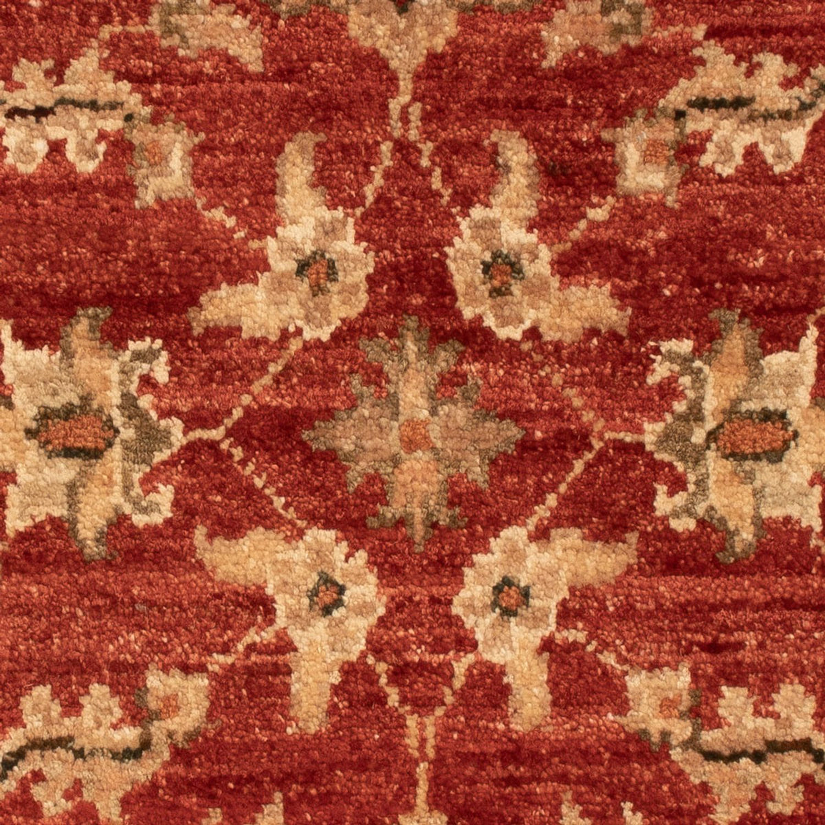 Ziegler Carpet - 68 x 48 cm - röd