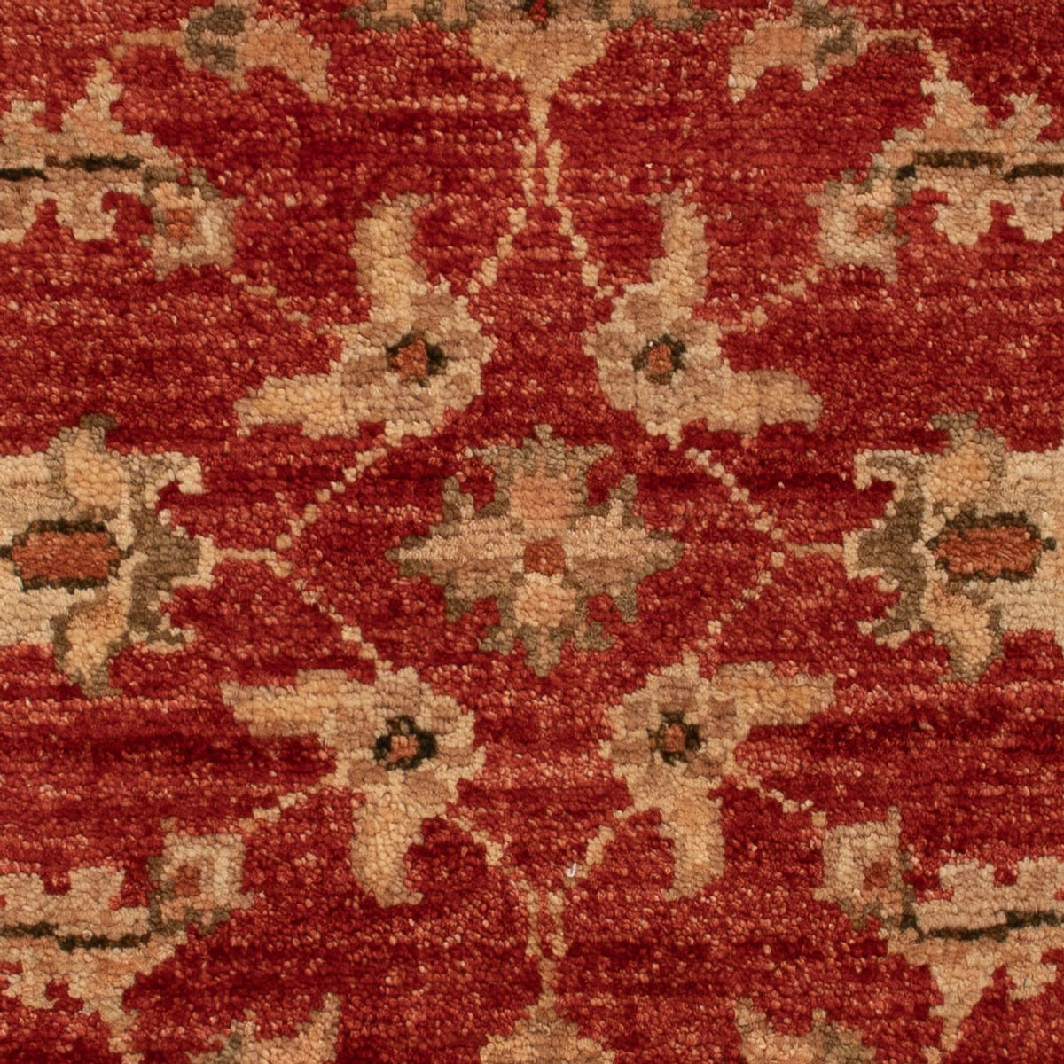 Ziegler Carpet - 67 x 49 cm - röd