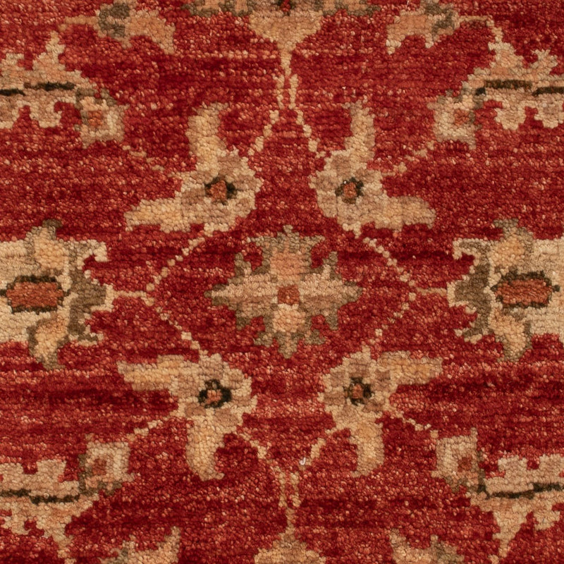 Ziegler Carpet - 67 x 49 cm - röd
