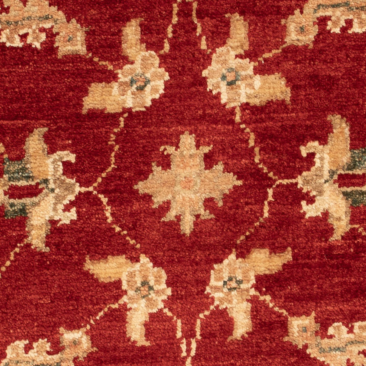 Ziegler Carpet - 71 x 52 cm - röd