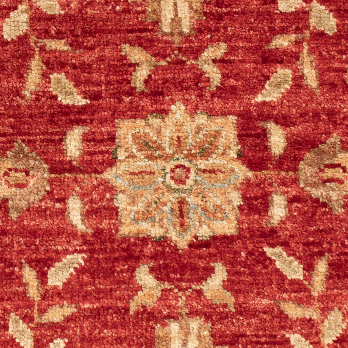 Ziegler Carpet - 68 x 50 cm - röd