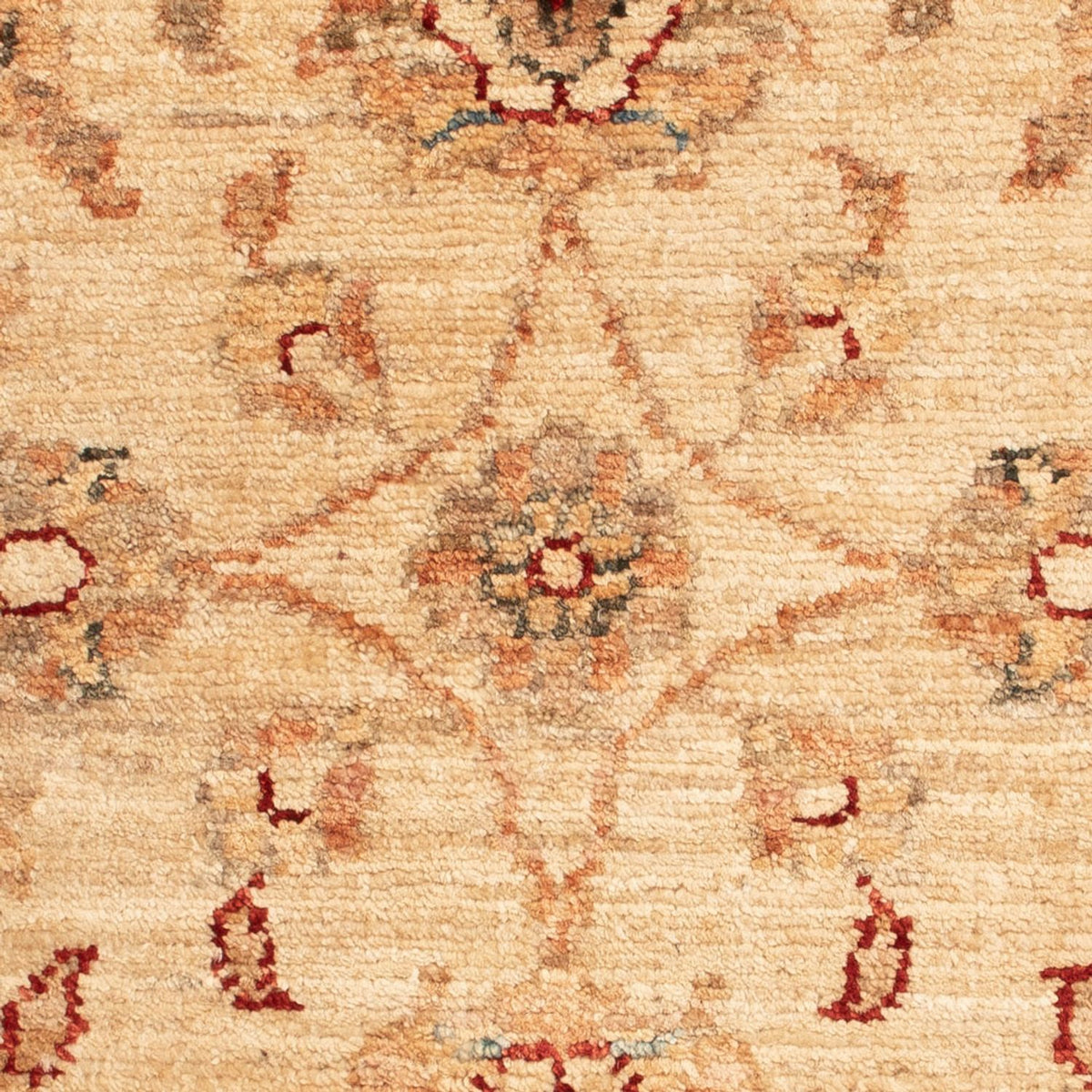 Ziegler Carpet - 65 x 51 cm - beige