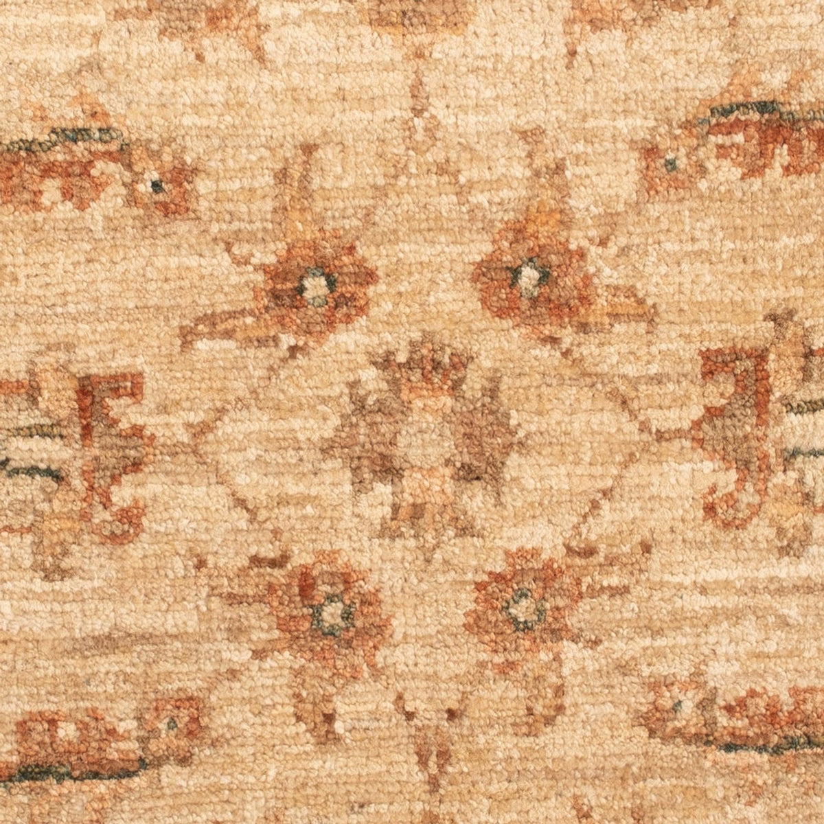 Ziegler Carpet - 66 x 51 cm - beige