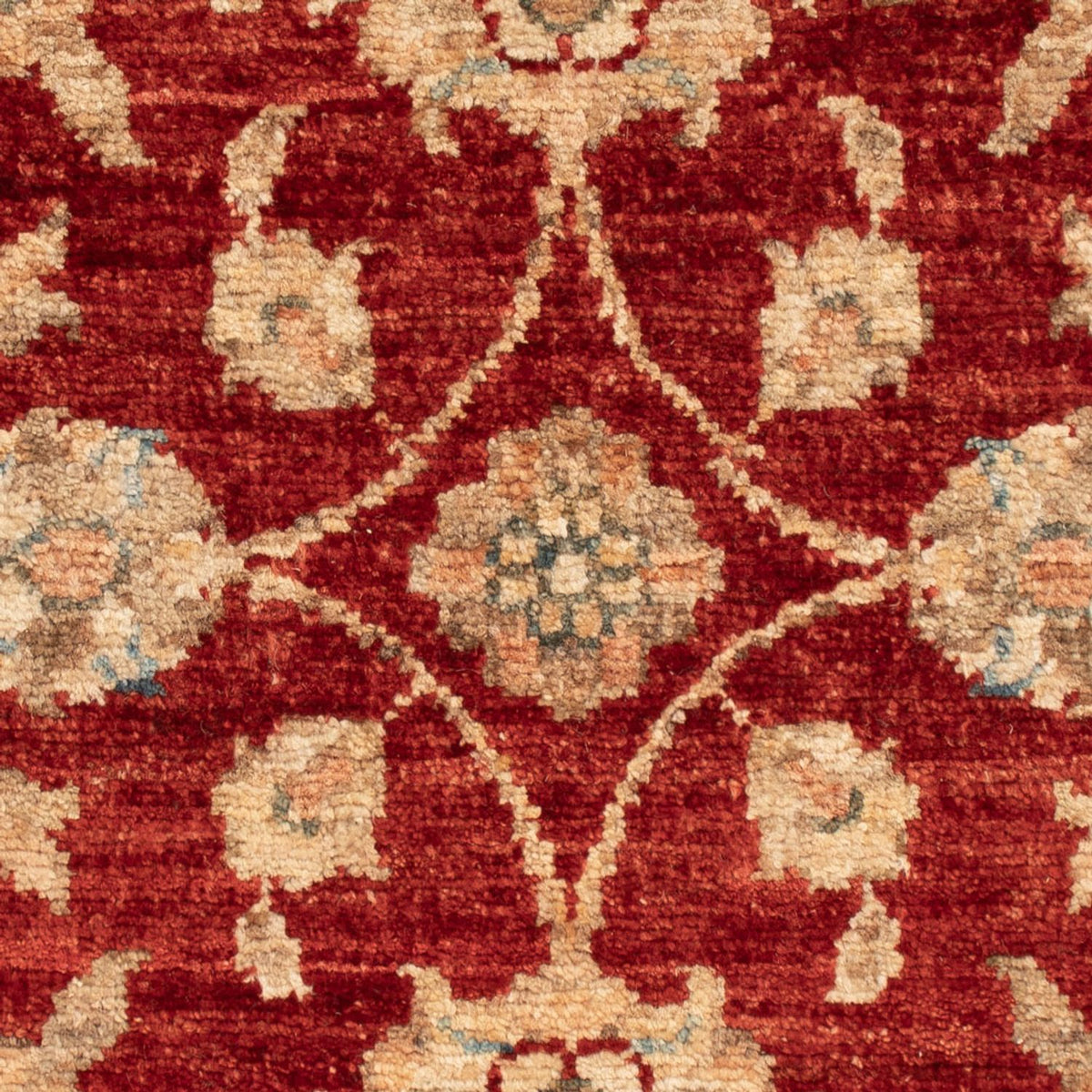 Ziegler Carpet - 65 x 50 cm - röd