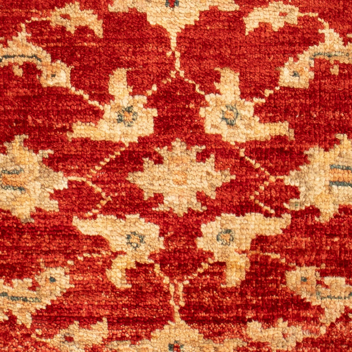 Ziegler Carpet - 61 x 43 cm - röd
