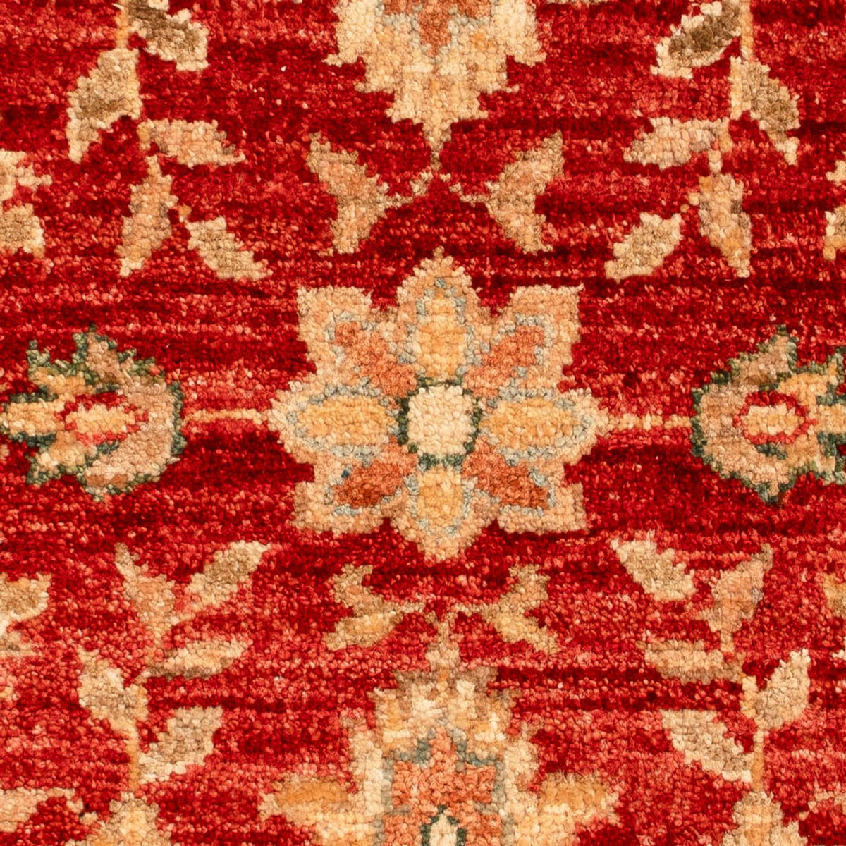 Ziegler Carpet - 64 x 51 cm - röd