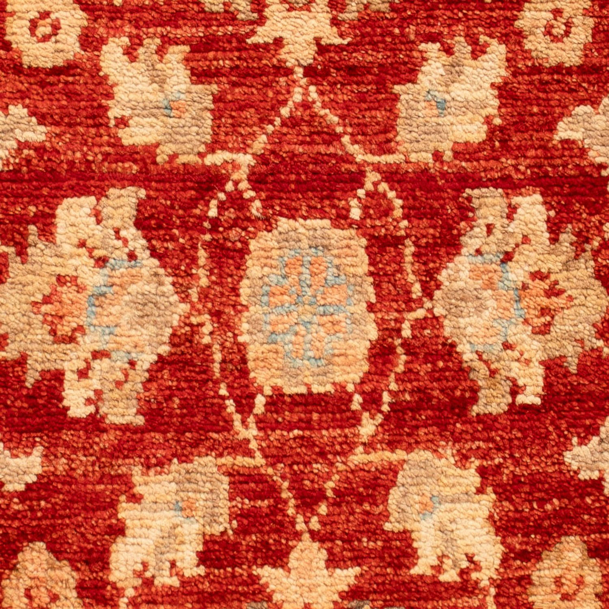Ziegler Carpet - 70 x 43 cm - röd