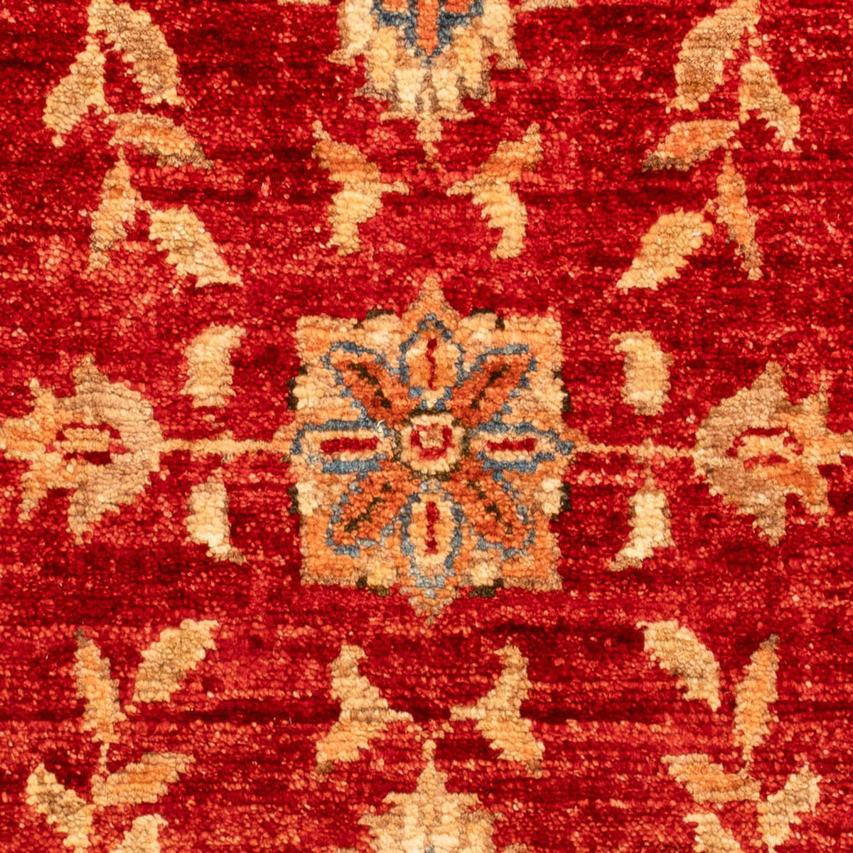 Ziegler Carpet - 68 x 49 cm - röd