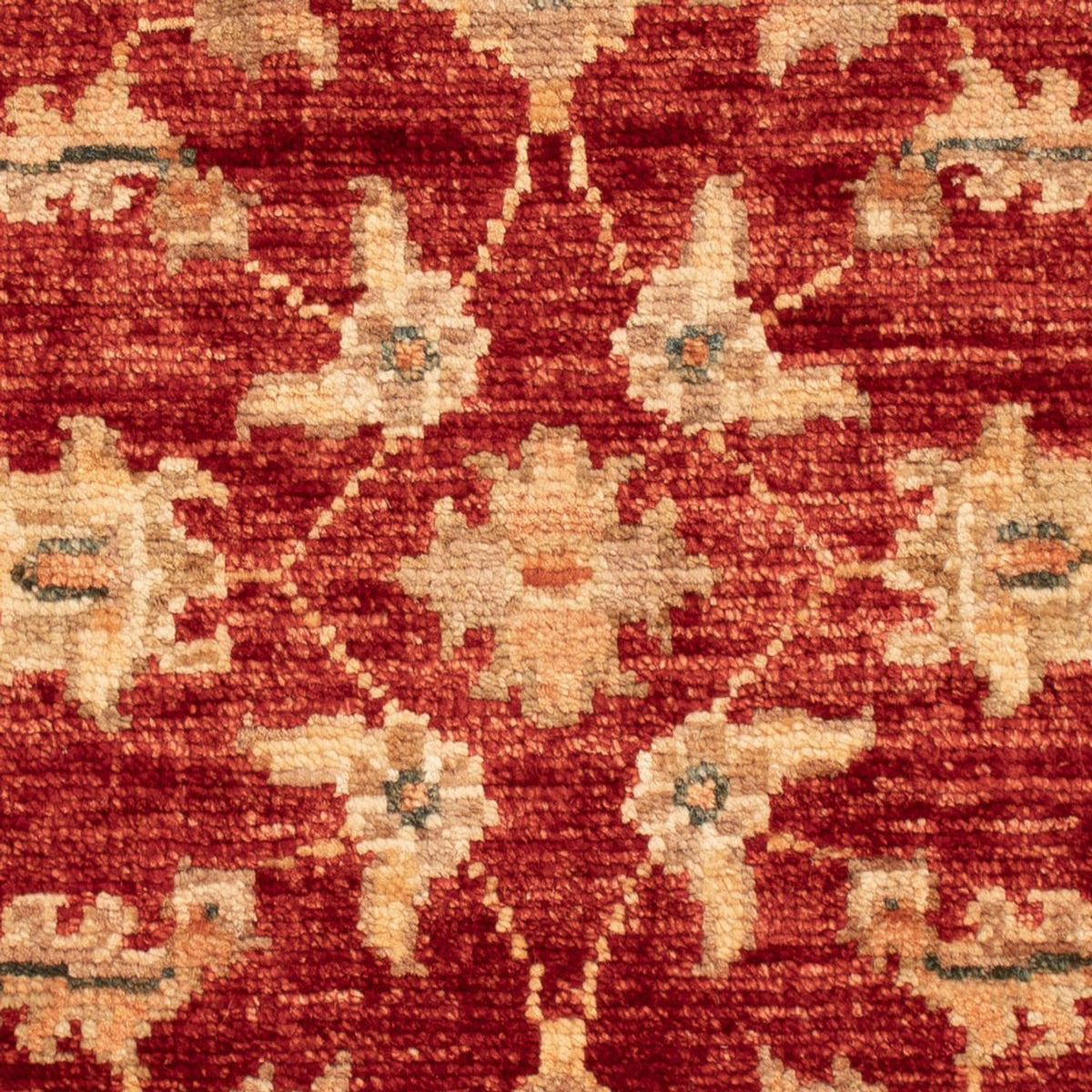 Ziegler Carpet - 67 x 50 cm - röd