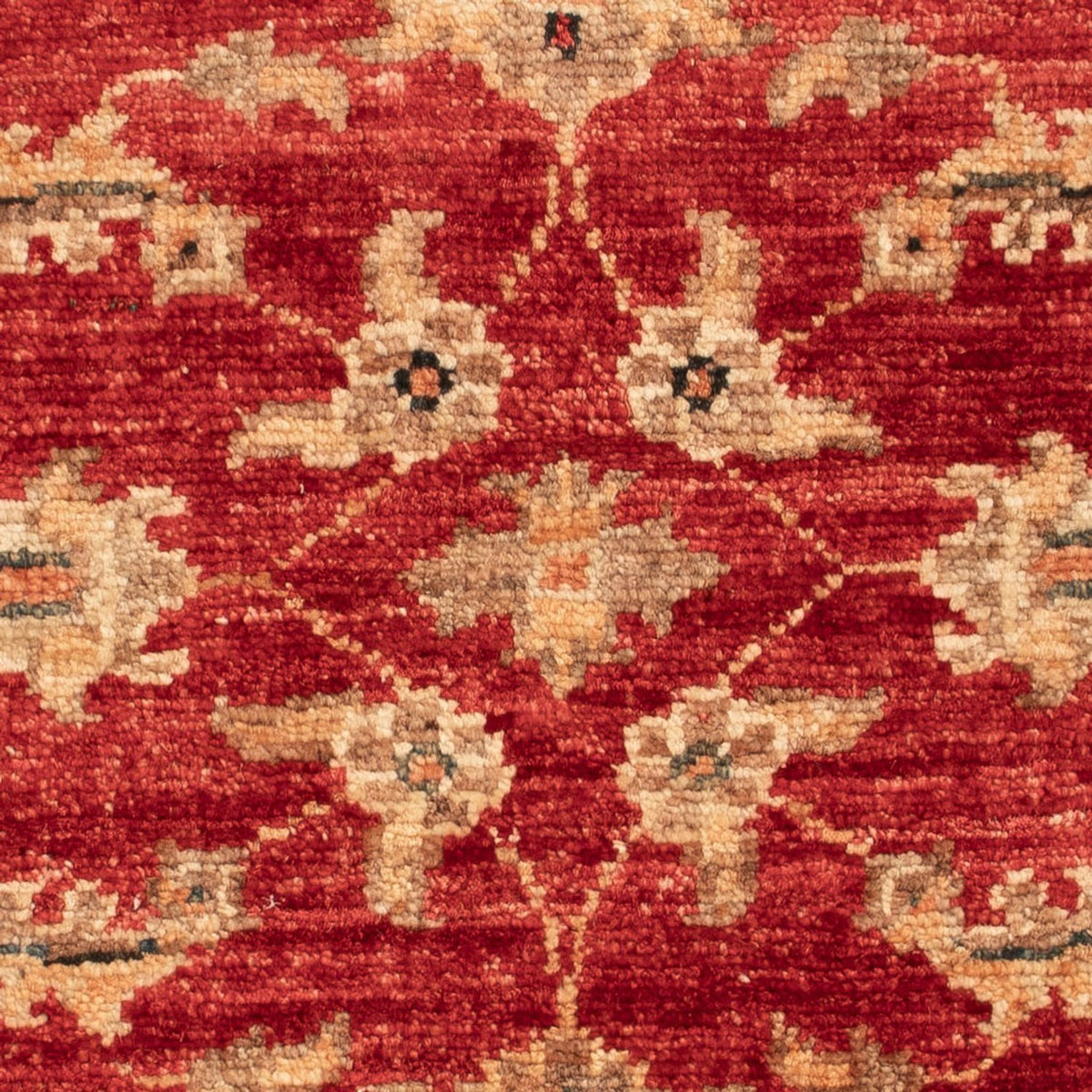 Ziegler Carpet - 60 x 52 cm - röd