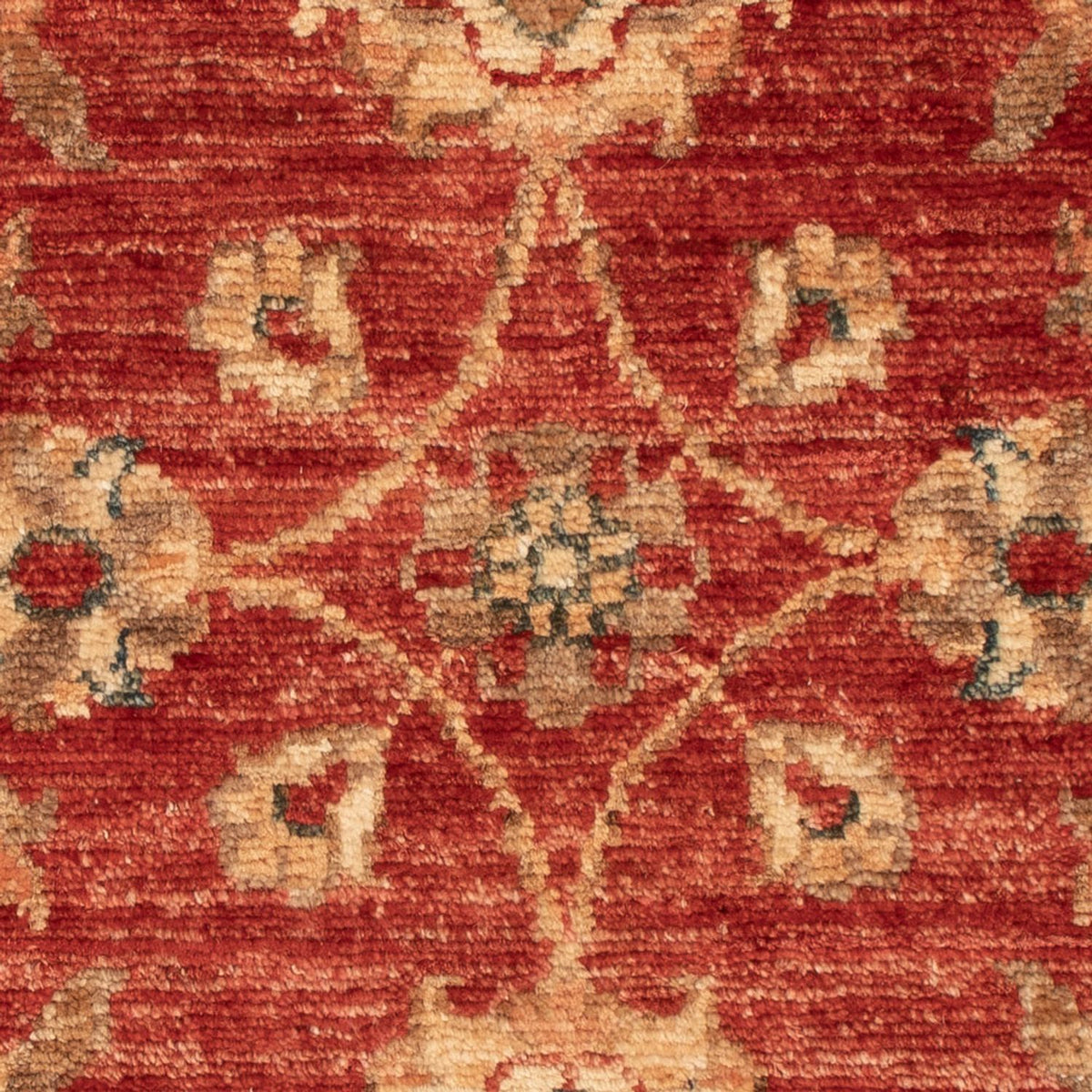 Ziegler Carpet - 70 x 48 cm - röd