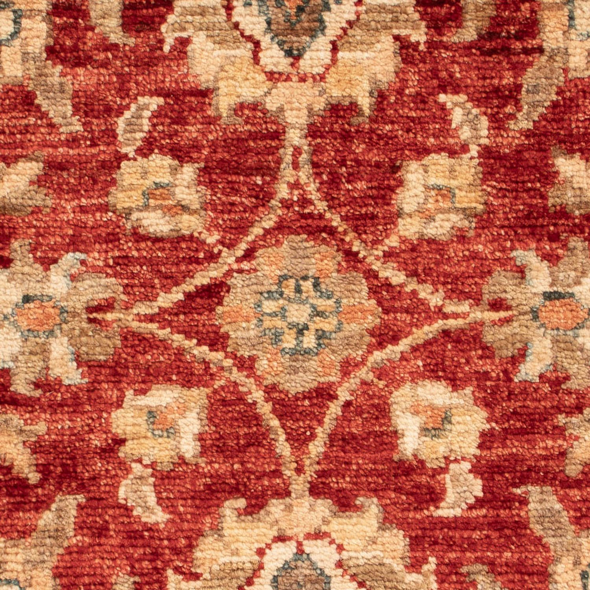 Ziegler Carpet - 72 x 51 cm - röd
