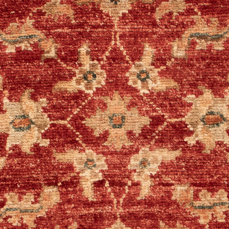 Ziegler Carpet - 67 x 49 cm - röd