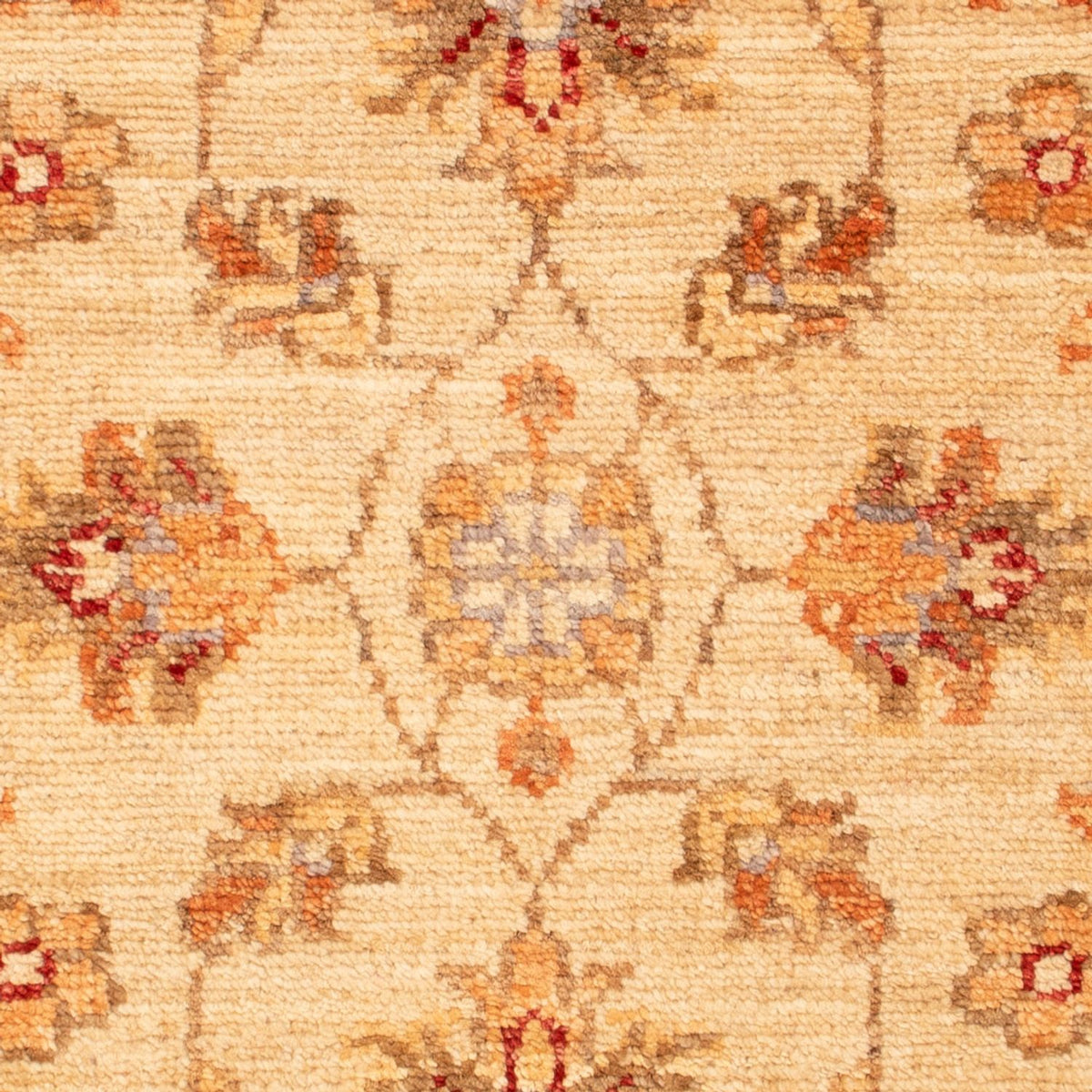 Ziegler Carpet - 72 x 52 cm - beige