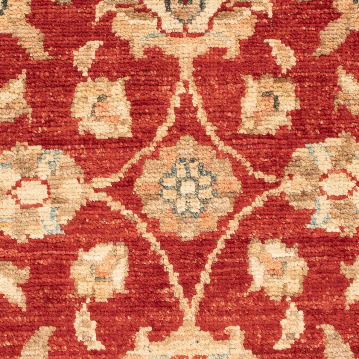 Ziegler Carpet - 70 x 51 cm - röd