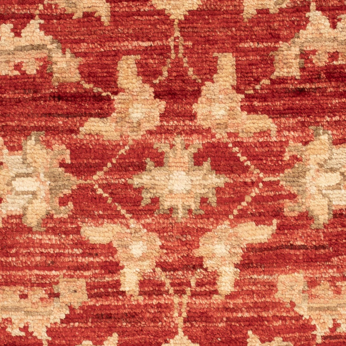 Ziegler Carpet - 67 x 55 cm - röd