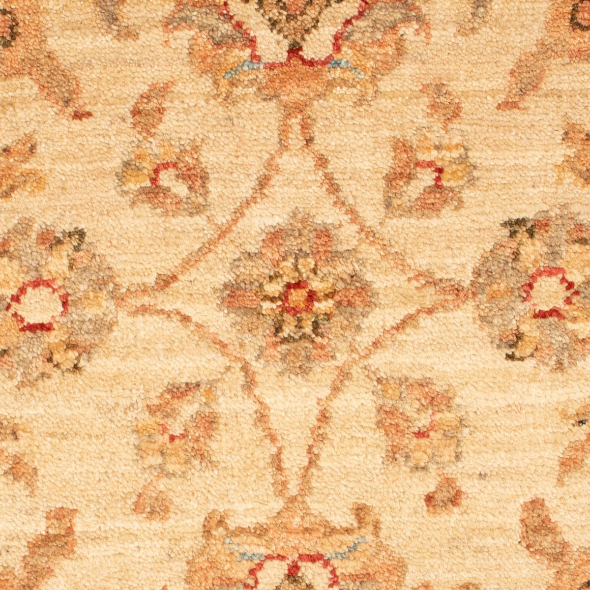 Ziegler Carpet - 72 x 52 cm - beige