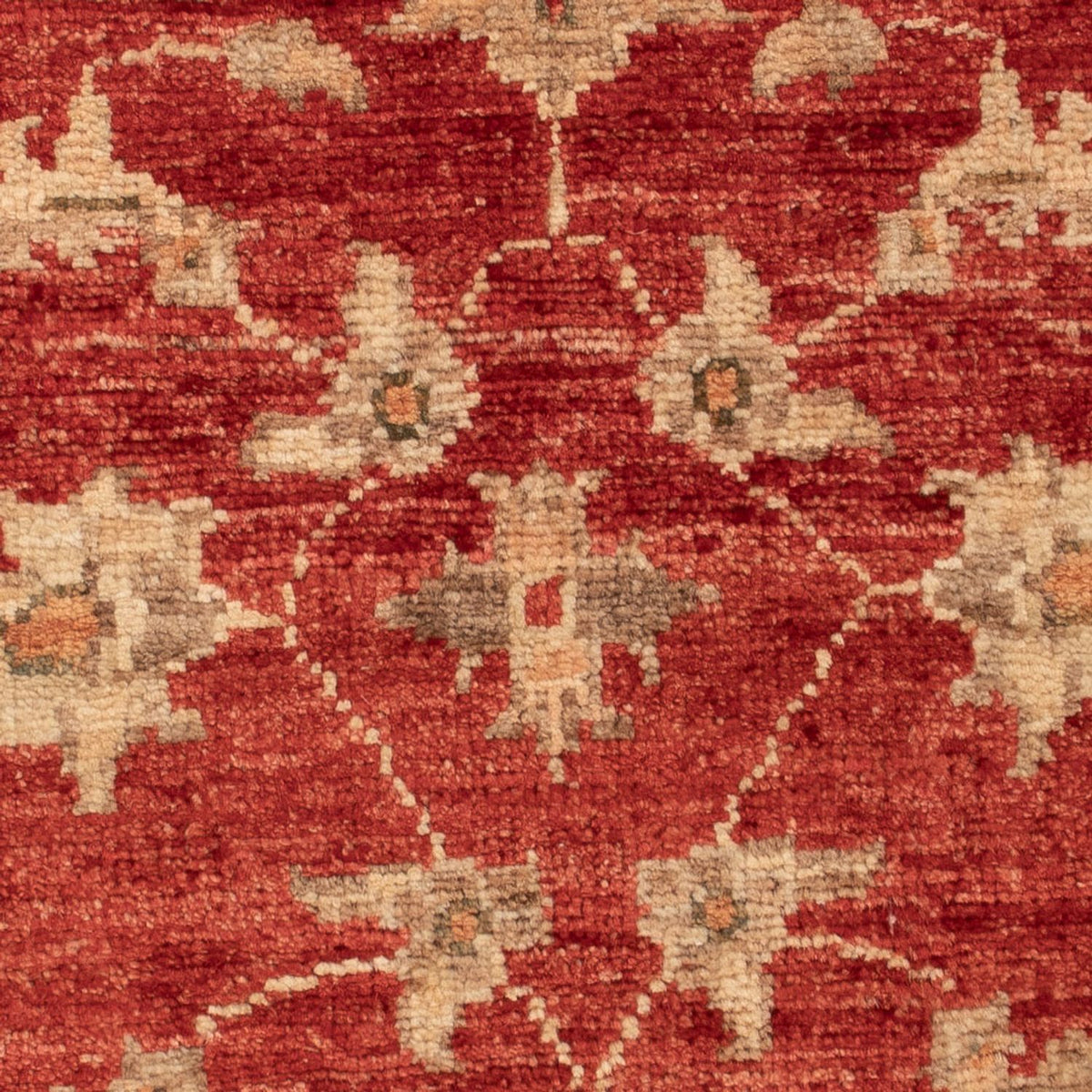 Ziegler Carpet - 69 x 52 cm - röd