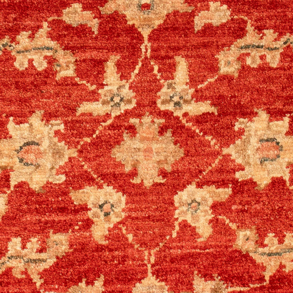 Ziegler Carpet - 68 x 54 cm - röd