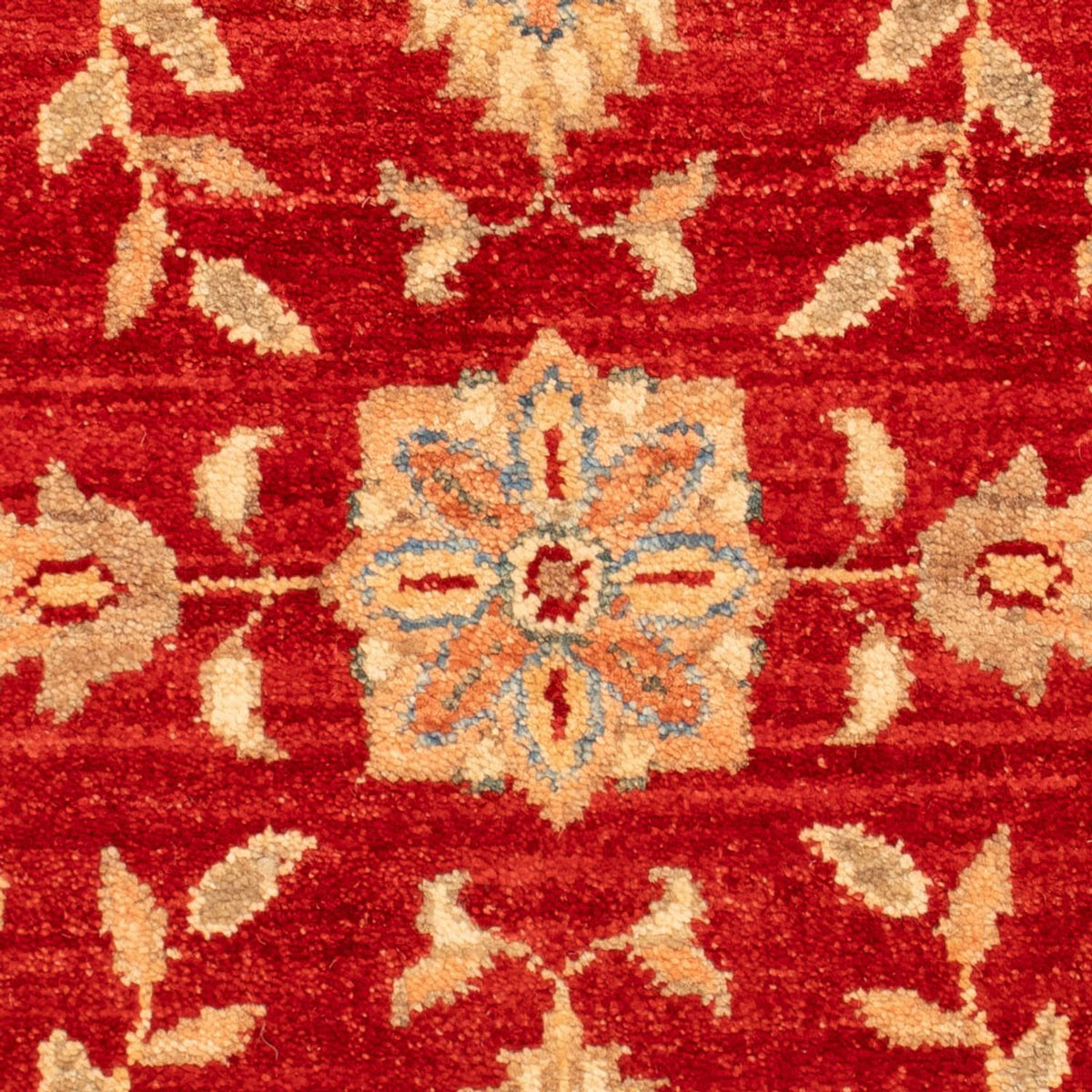 Ziegler Carpet - 70 x 51 cm - röd