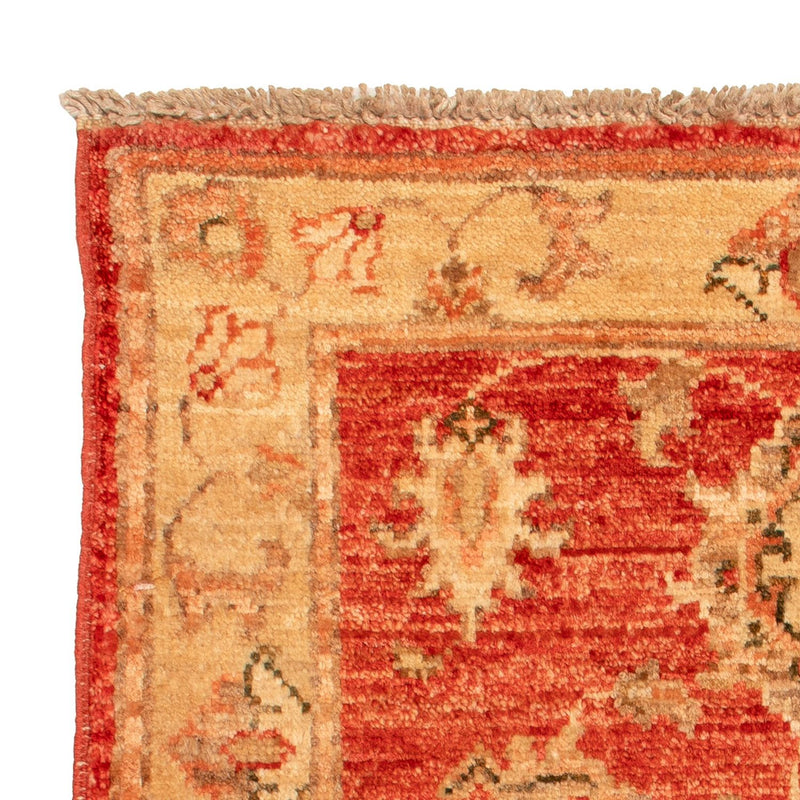 Ziegler Carpet - 66 x 53 cm - röd