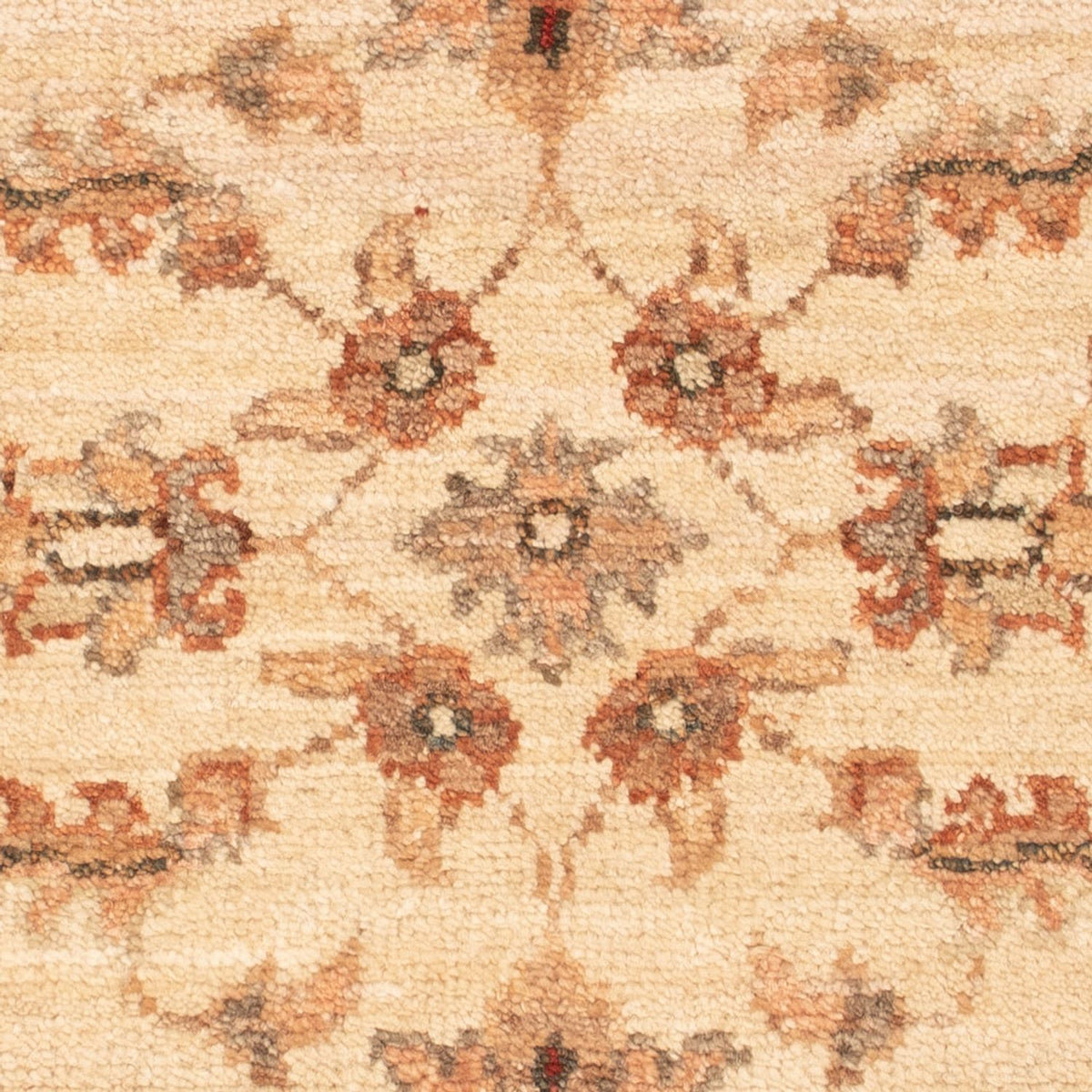 Ziegler Carpet - 68 x 48 cm - beige