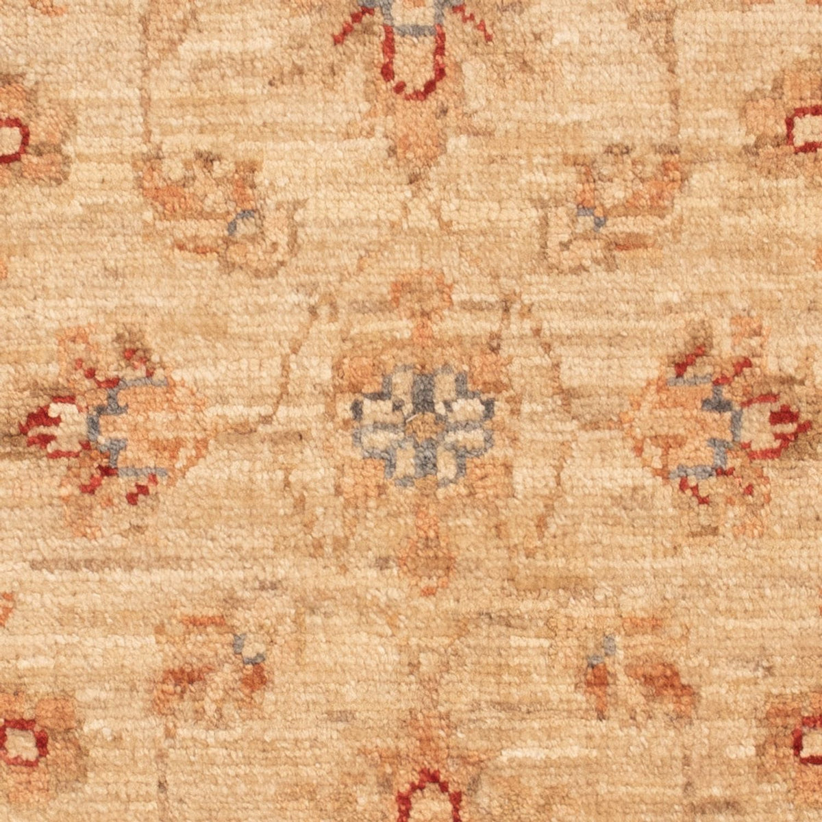Ziegler Carpet - 70 x 55 cm - beige
