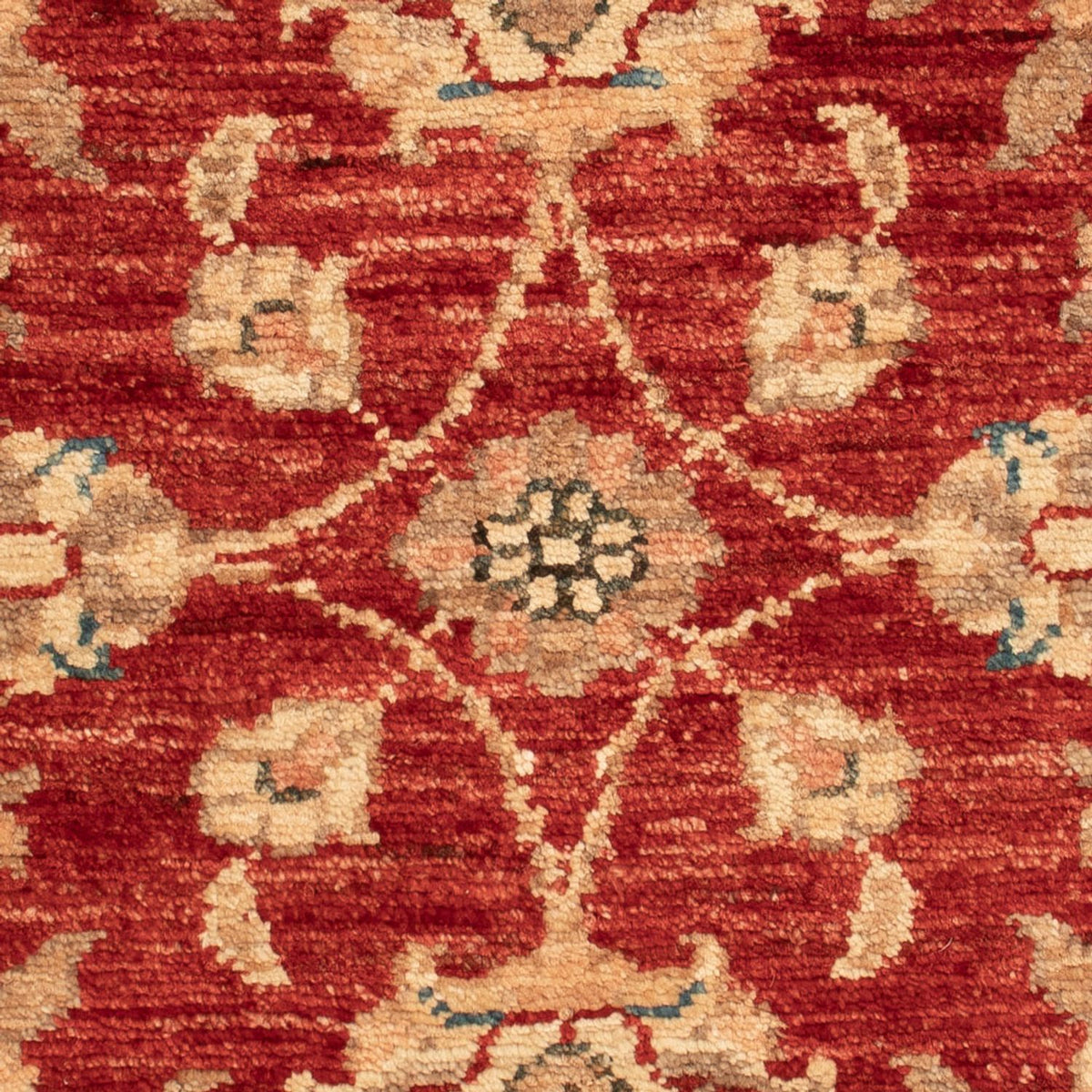 Ziegler Carpet - 66 x 52 cm - rost